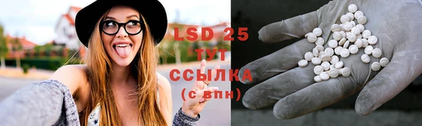 ПСИЛОЦИБИНОВЫЕ ГРИБЫ Балабаново