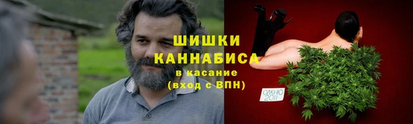 ПСИЛОЦИБИНОВЫЕ ГРИБЫ Балабаново