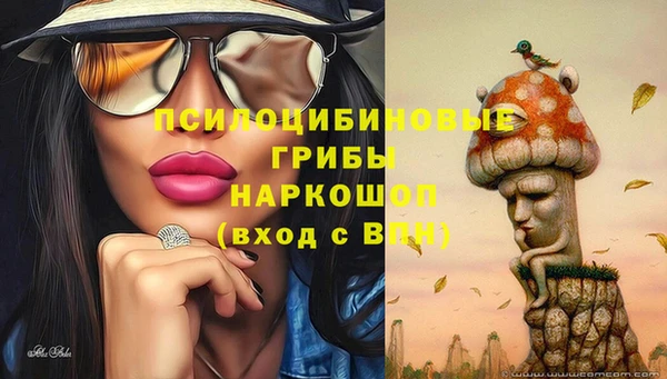 2c-b Балахна